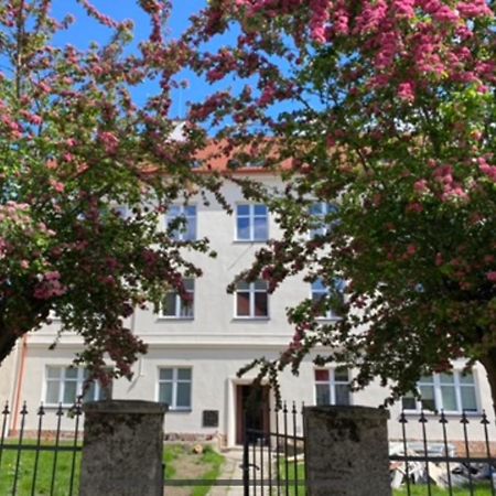 Апартаменти Apartament 3 Pokojowy Z Parkingiem Зомбковіце-Шльонскє Екстер'єр фото