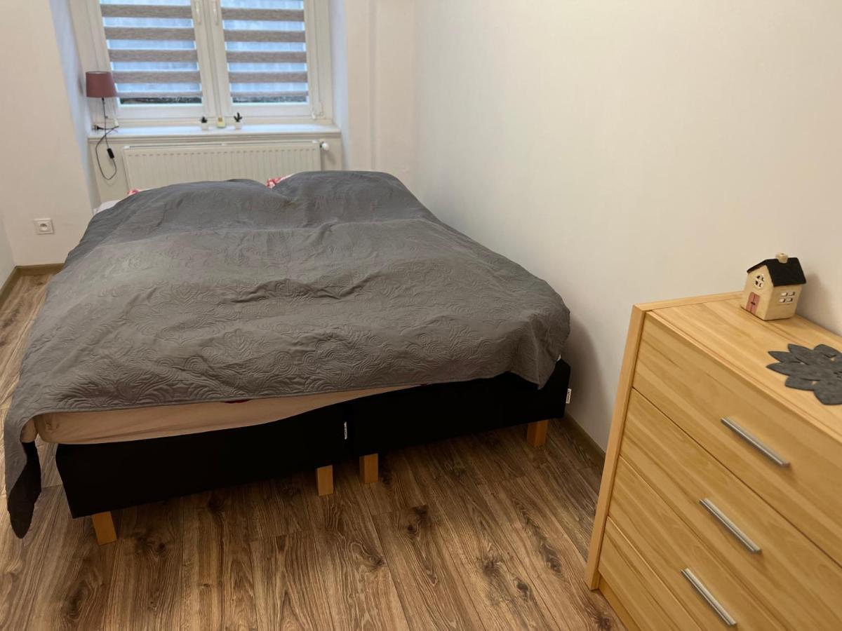 Апартаменти Apartament 3 Pokojowy Z Parkingiem Зомбковіце-Шльонскє Екстер'єр фото